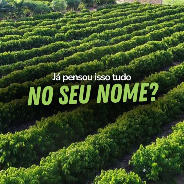 EDIÇÃO 01 Fazenda com 24 Hectares 15mil pés de café 6 tanques com Peixes,Curral,Sede ou 1 Milhão no Pix