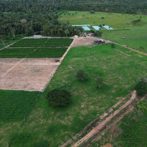 EDIÇÃO 01 Fazenda com 24 Hectares 15mil pés de café 6 tanques com Peixes,Curral,Sede ou 1 Milhão no Pix