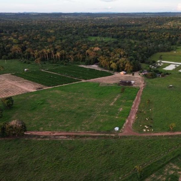 EDIÇÃO 01 Fazenda com 24 Hectares 15mil pés de café 6 tanques com Peixes,Curral,Sede ou 1 Milhão no Pix